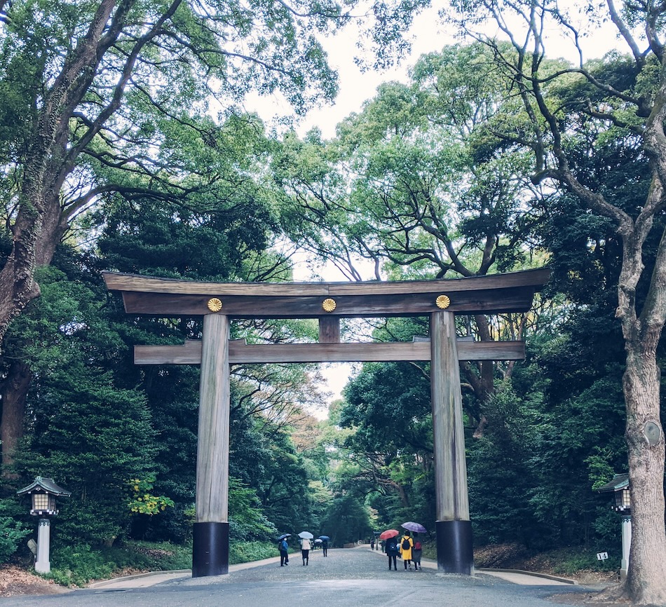 santuario-meji Maestoso Torii all'ingresso del santuario Meiji