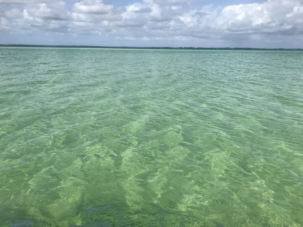 zanzibar-smeraldo Come cambia colore l'acqua di Zanbar: smeraldo trasparente