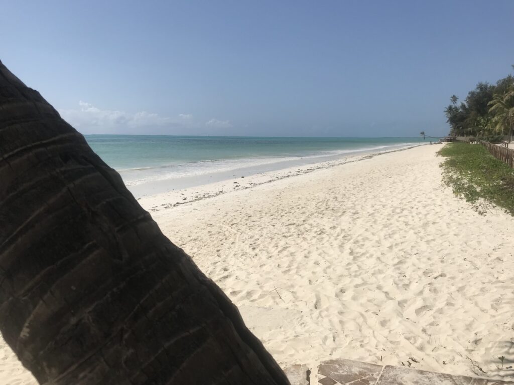 zanzibar-spiaggia-deserta Spiaggia oceanica deseerta di Paje a Zanzibar