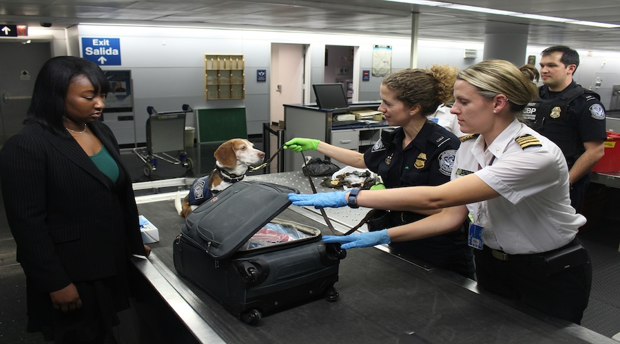 ESTA e border control