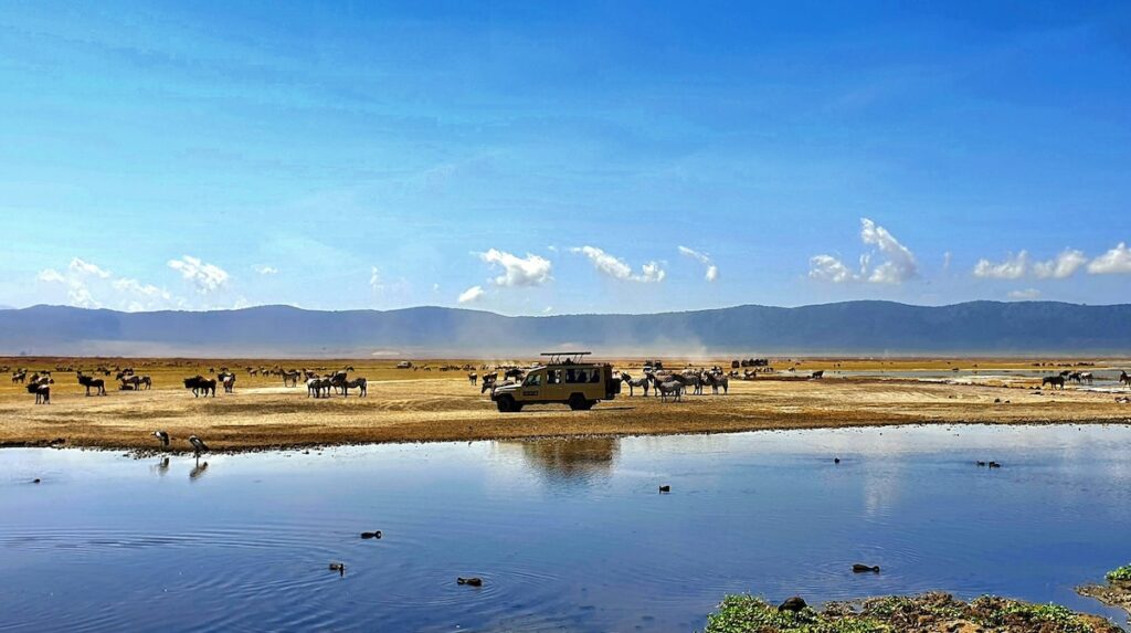 Lago nella savana africana